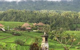 The Hidden Bali Inn