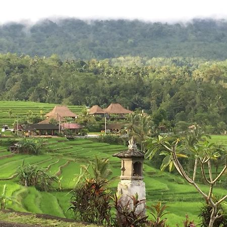 The Hidden Bali Inn Ubud  Exterior photo