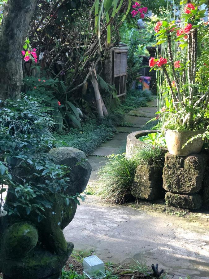 The Hidden Bali Inn Ubud  Exterior photo