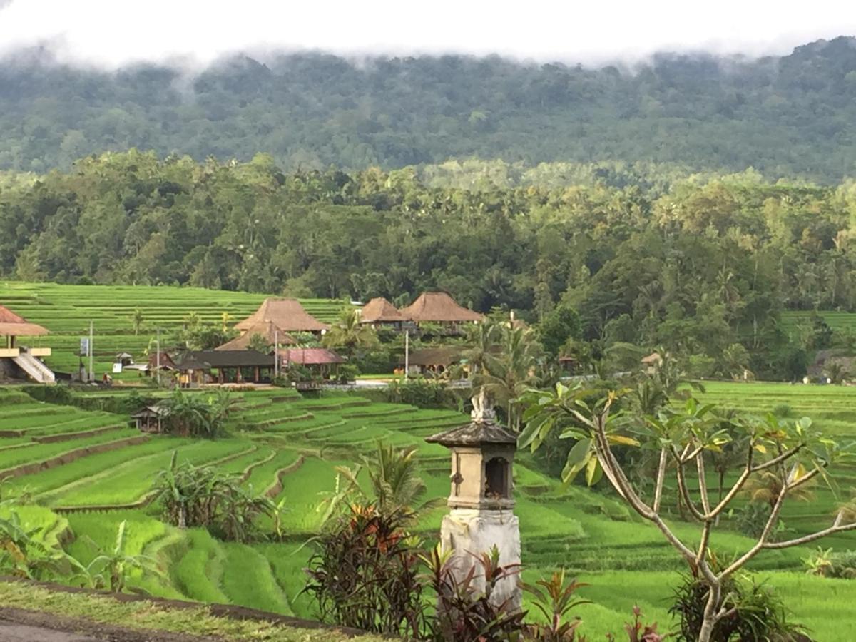 The Hidden Bali Inn Ubud  Exterior photo